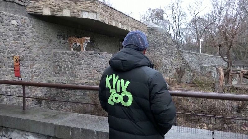 Zvířata z kyjevské rezervace dorazila po strastiplném převozu do Polska